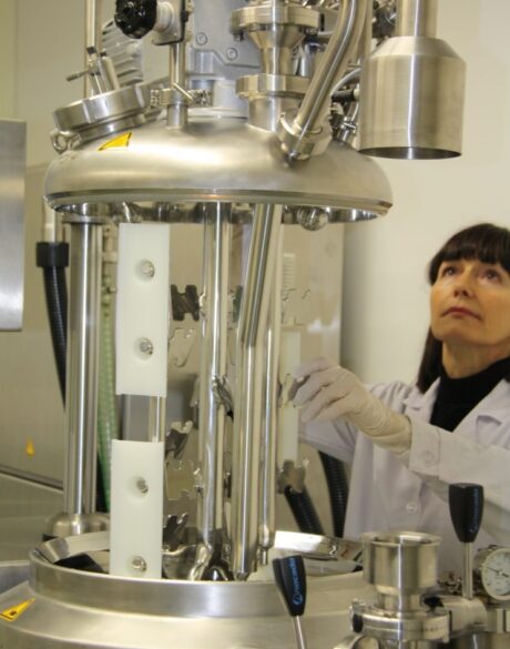 Naturkosmetik Produktion bei Safeas – Herstellung sanfter Pflegeprodukte für empfindliche Haut